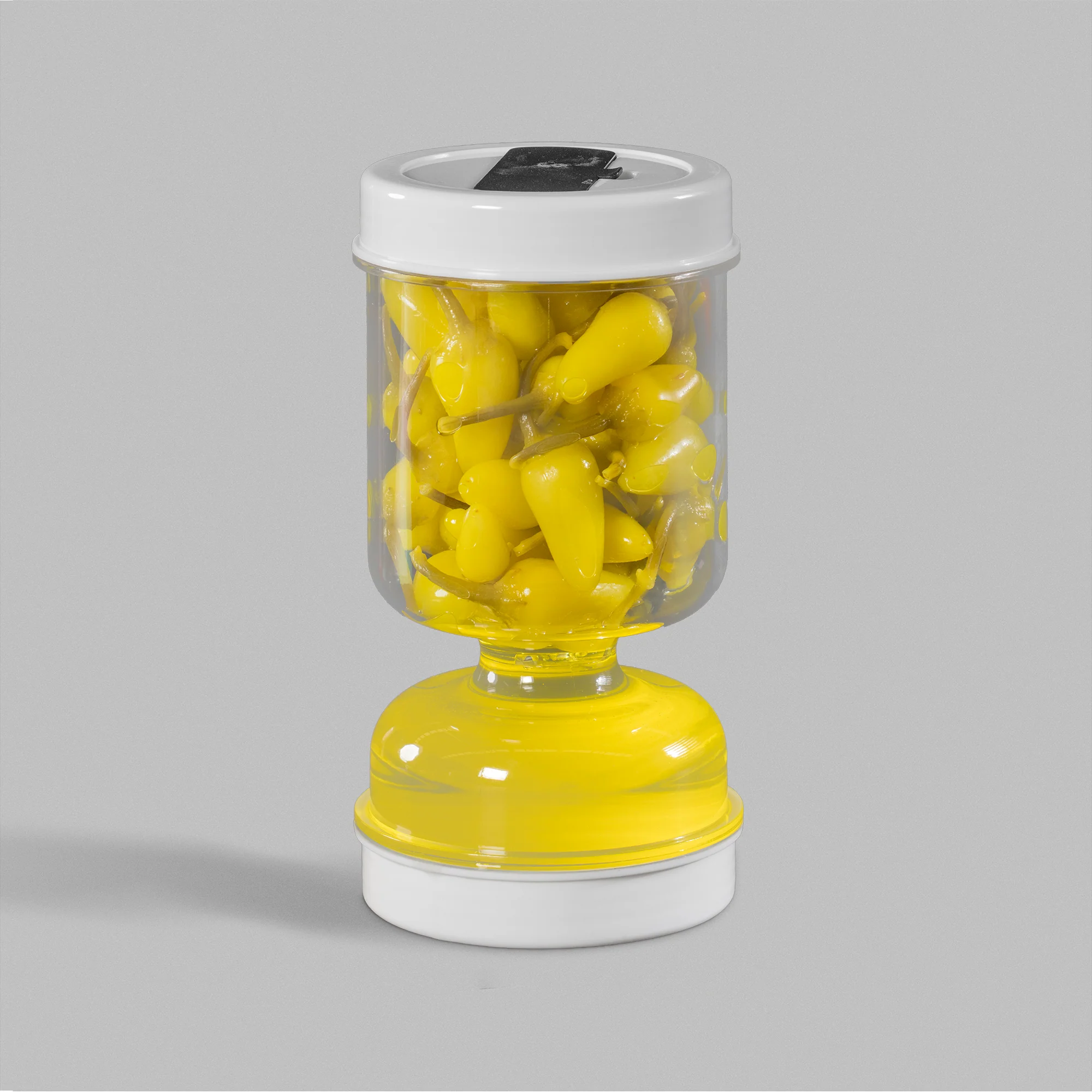 Miniatura 1